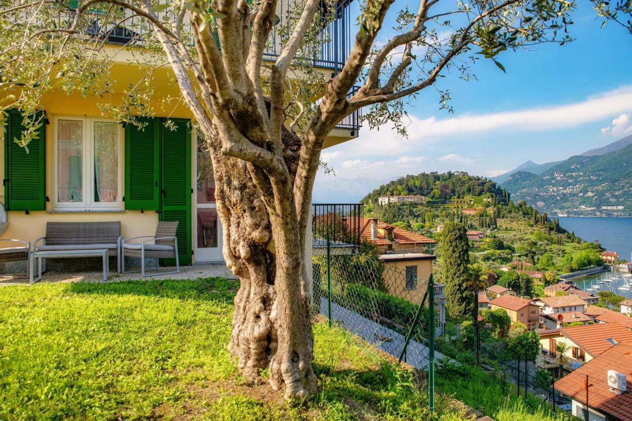 Holiday home Olive Tree View *