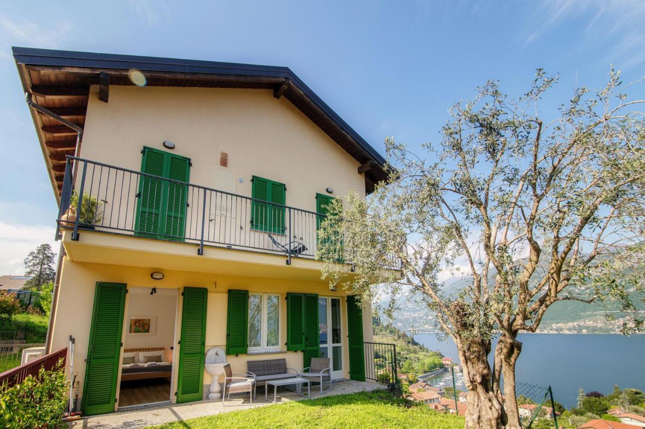 Olive Tree View Holiday home