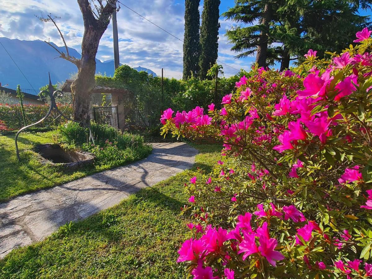 Casa La Rosa Aparthotel Bellagio
