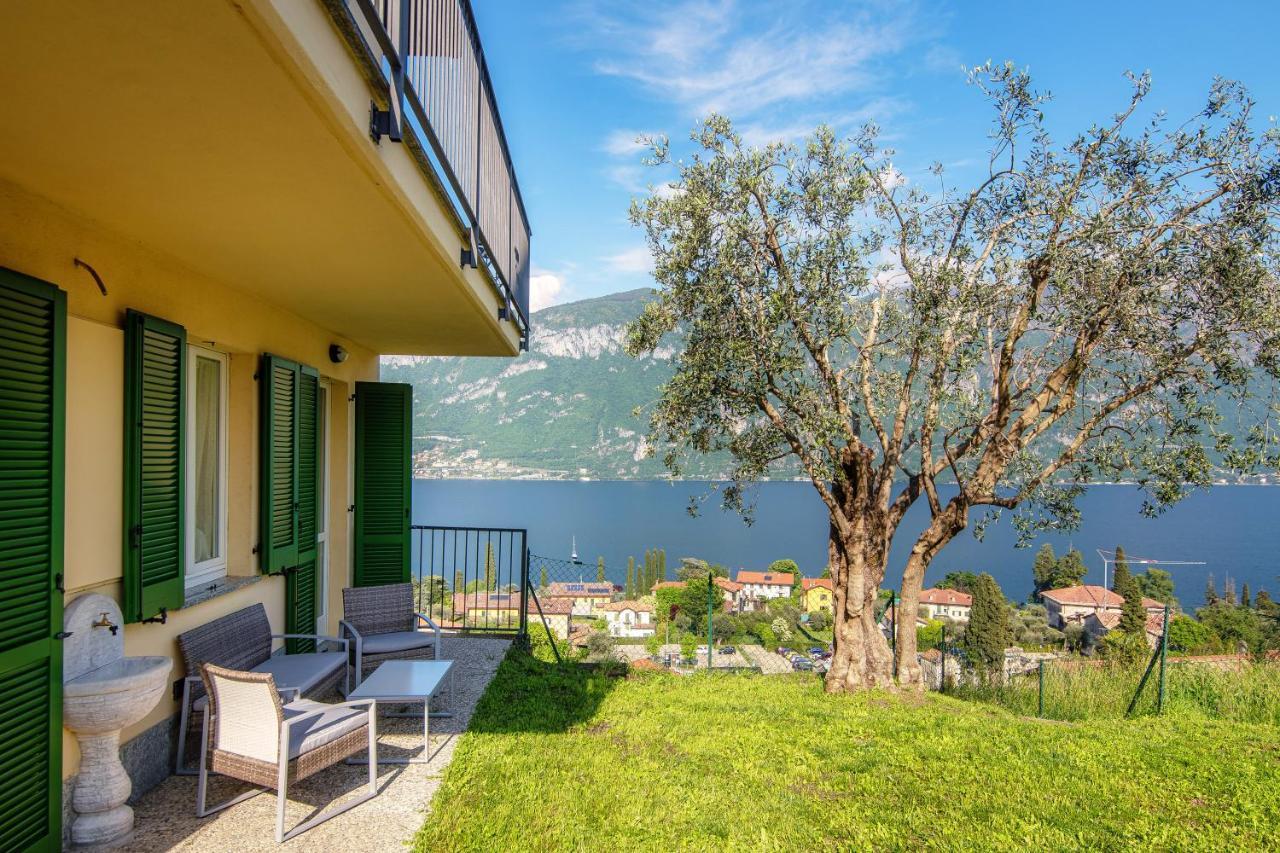 Olive Tree View Holiday home