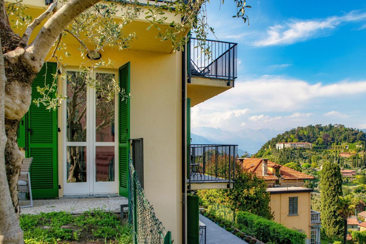 Olive Tree View * Bellagio