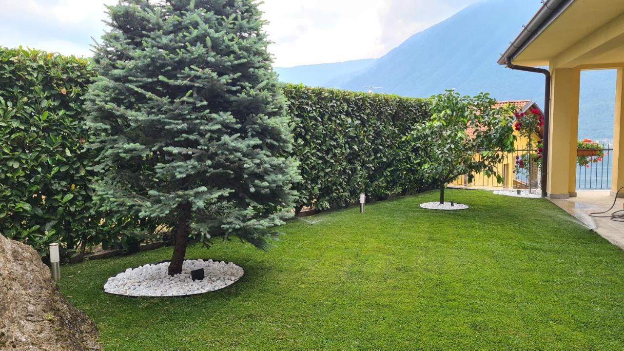 Panoramica Di *