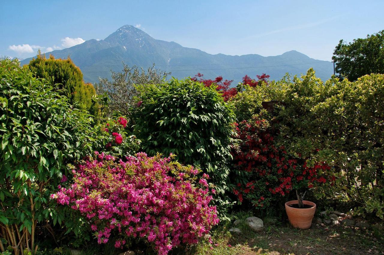 Al Boschetto Apartment Poncetta