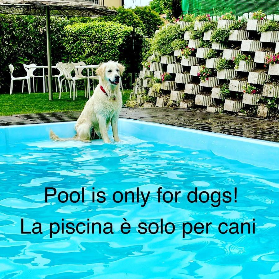 Apartment Appartamenti Casa Lory *