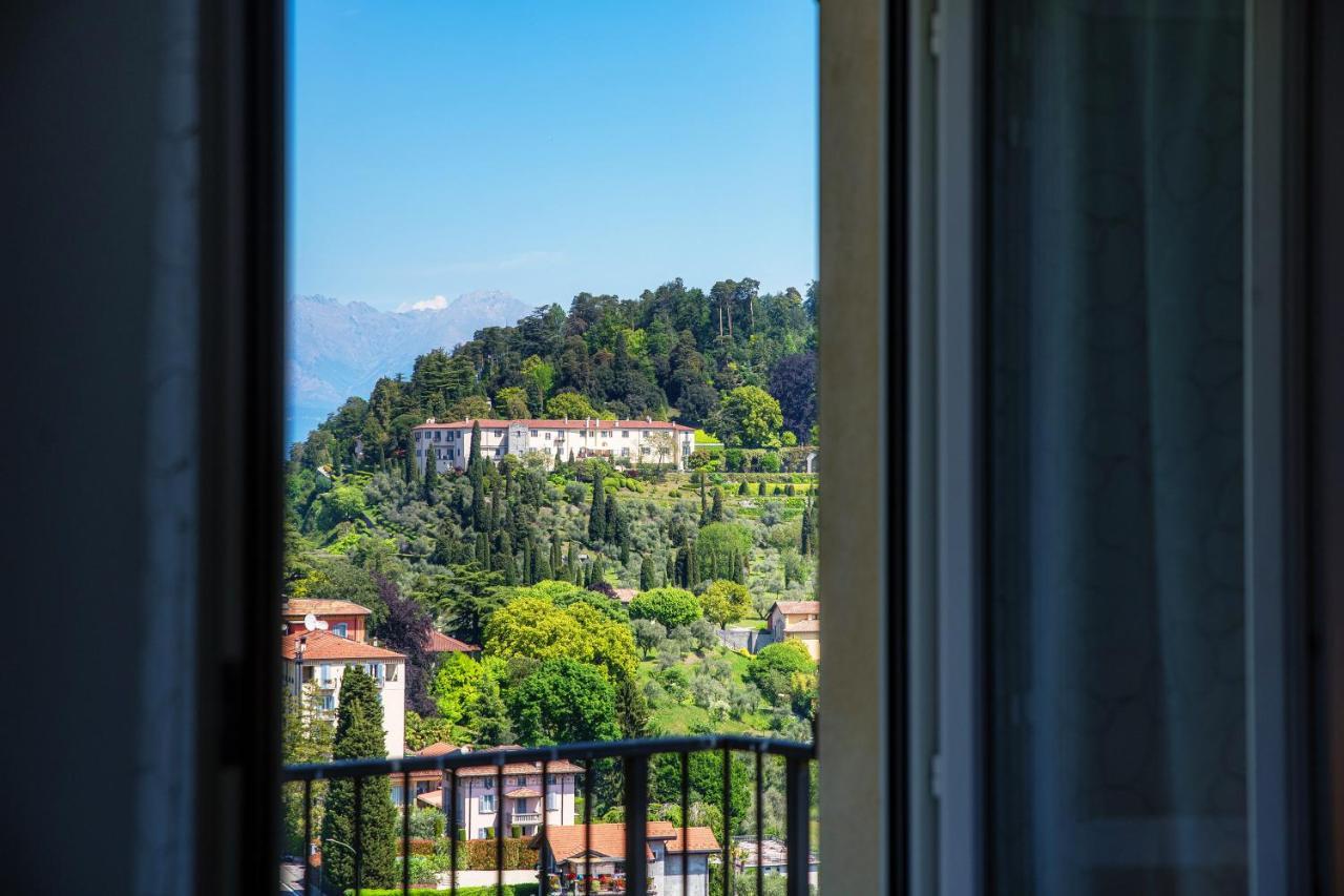 The View 1 *