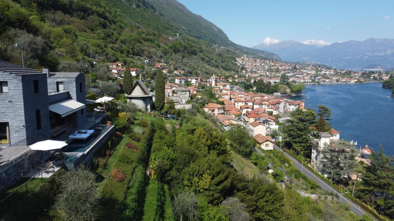 Molli Di