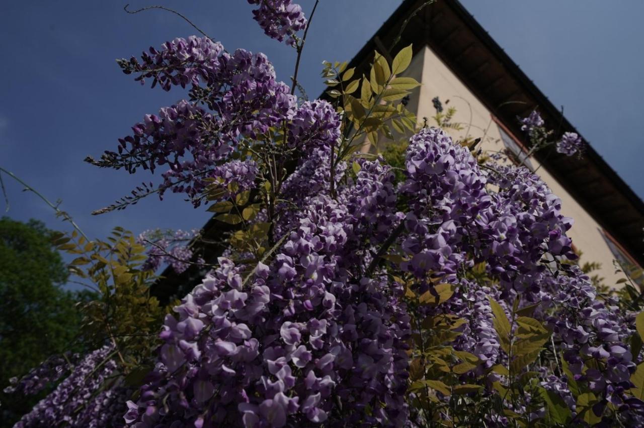 Bed & Breakfast Antica Dimora I Faggi Di San Giorgio *