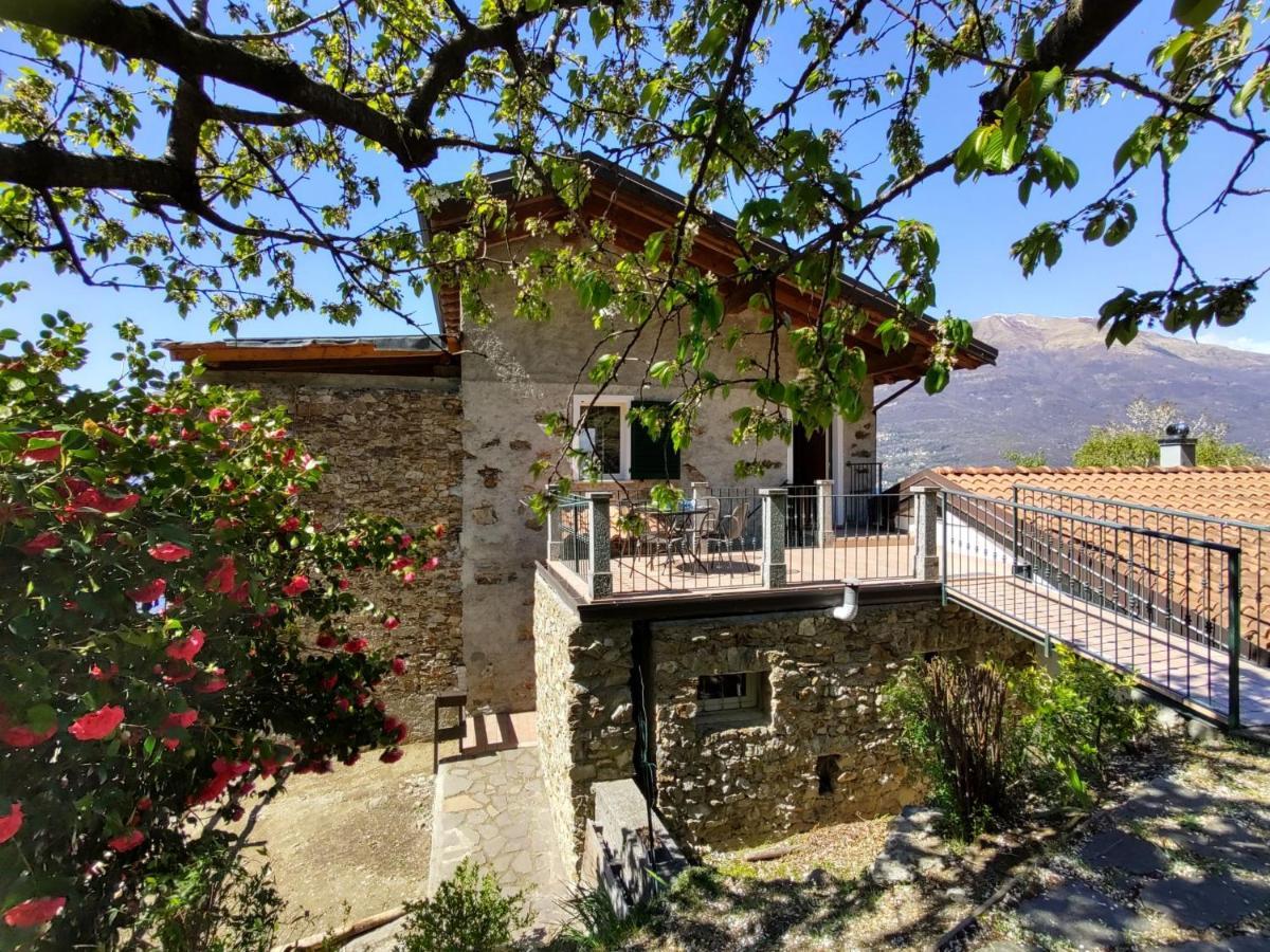 Oro Del Lario-2 By Interhome Apartment *