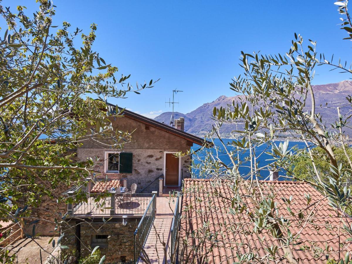 Oro Del Lario-2 By Interhome Apartment Bellano