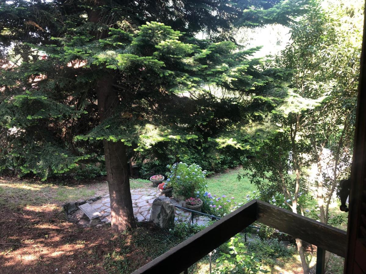 Guest house Dei Cedri *