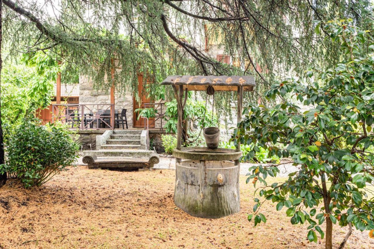 Roomy '900 House Surrounded By Greenery With Parking! Apartment *