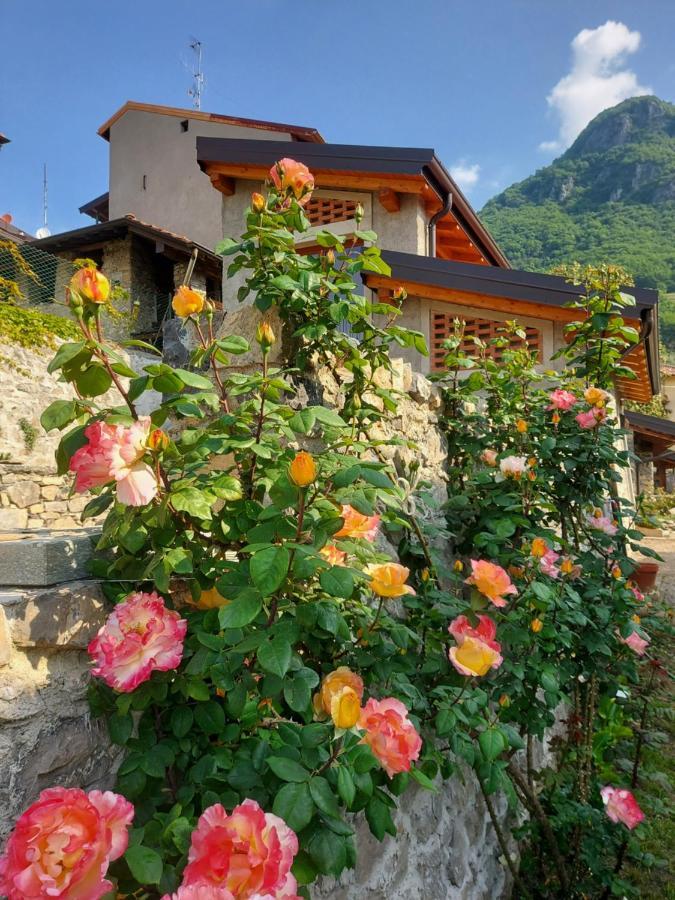 Holiday home Our Happy Place - Per Il Viaggiatore Slow Mandello del Lario