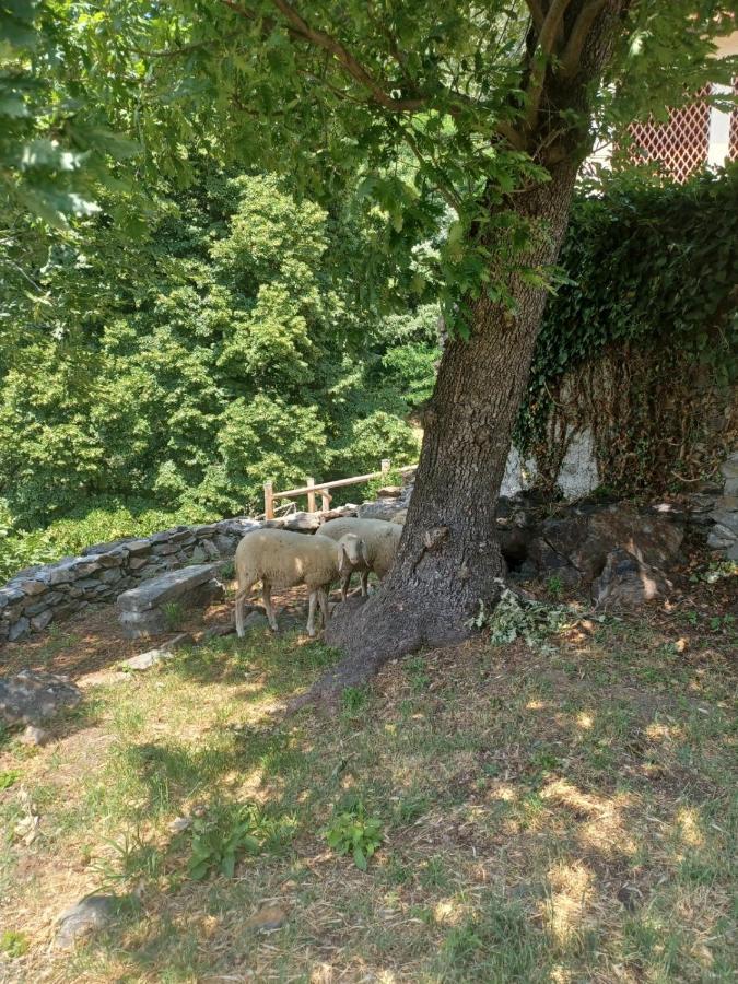 Farm stay Open Cascina