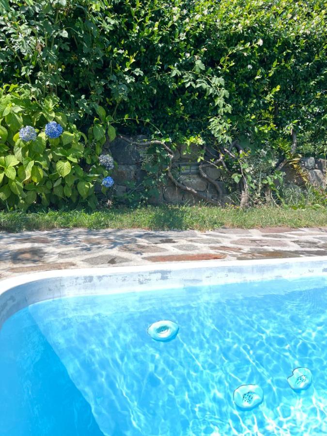 Casa Unica- Da Bruno Apartment