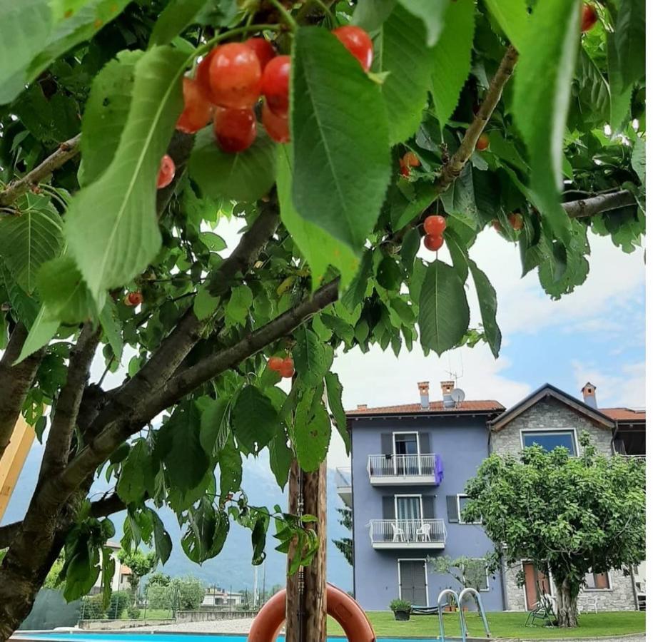 Zia Vivina Bed & Breakfast