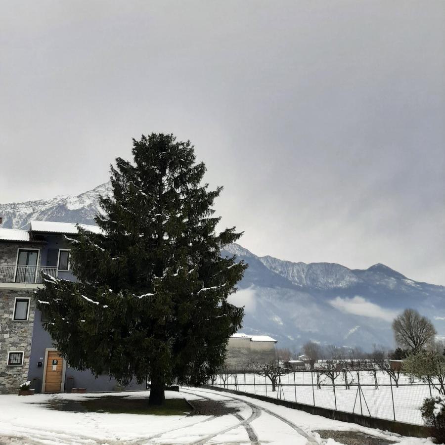 Bed & Breakfast Zia Vivina