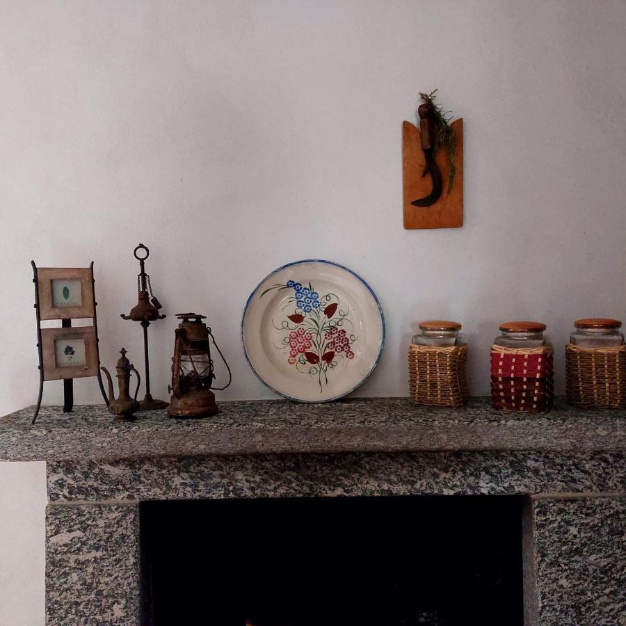 Apartment Casina Clelia
