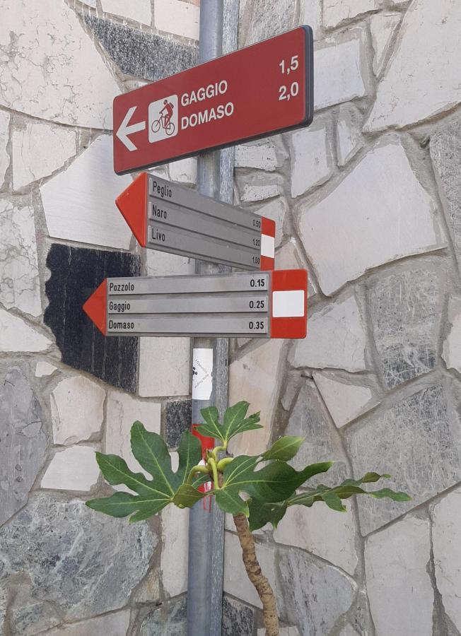 Casina Clelia