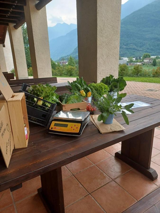 Open Cascina Colico