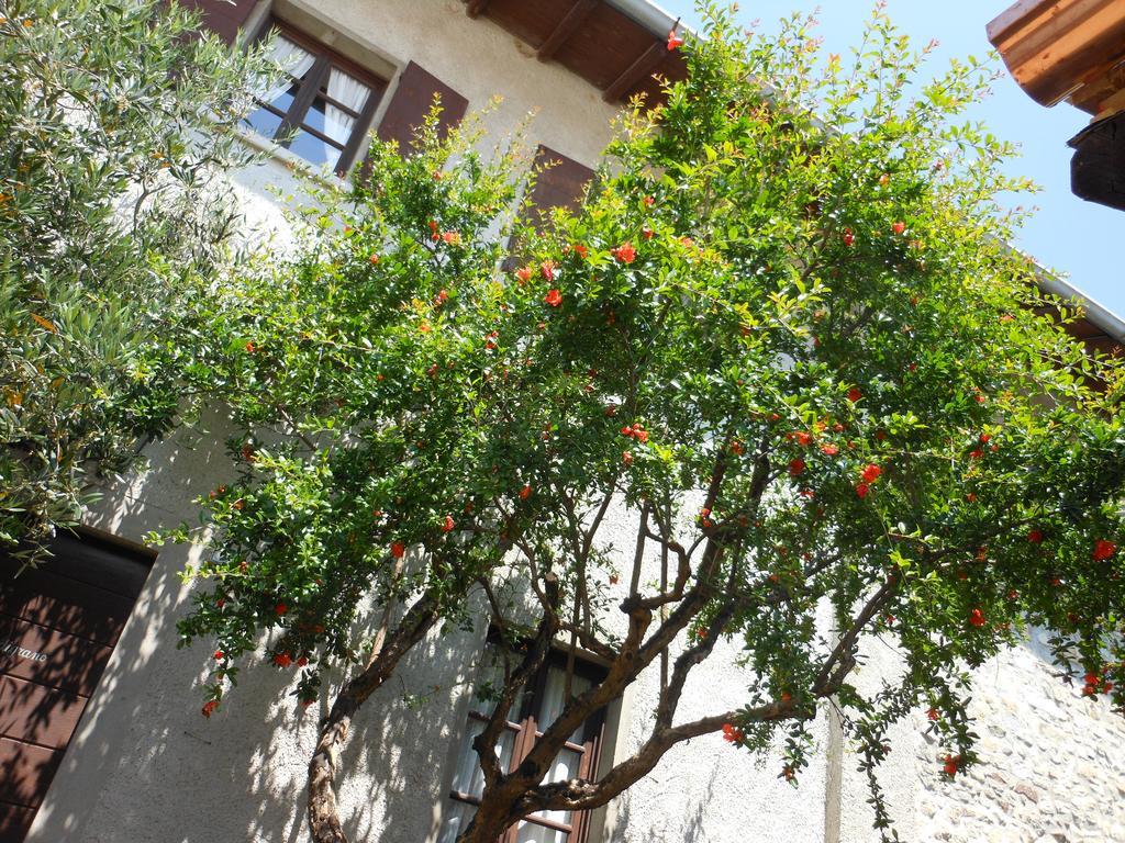 Agriturismo Cassinazza Farm stay Orsenigo