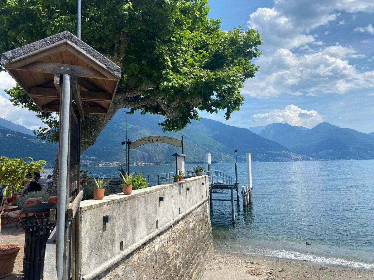 View * Cremia