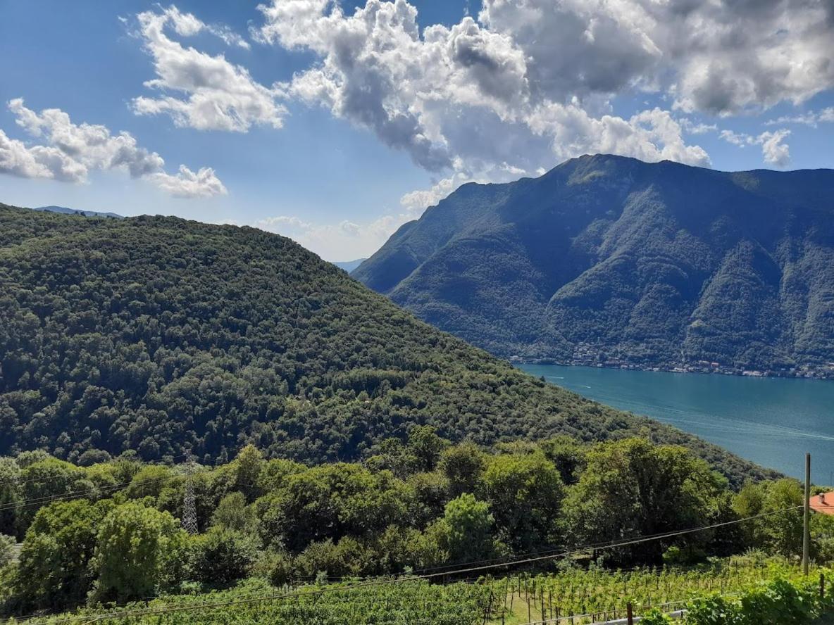 Farm stay Cascina Teresina Veleso