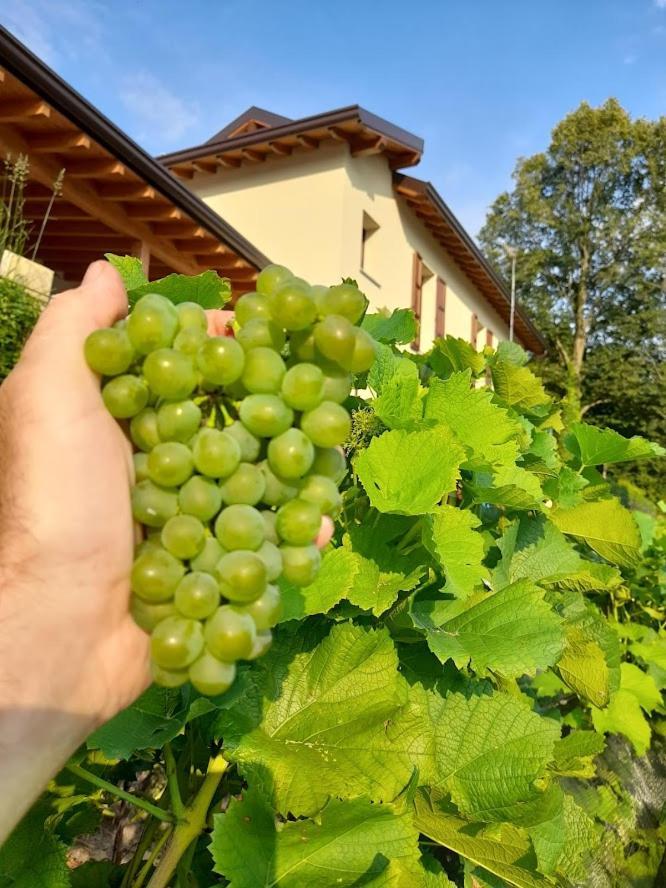 Cascina Teresina
