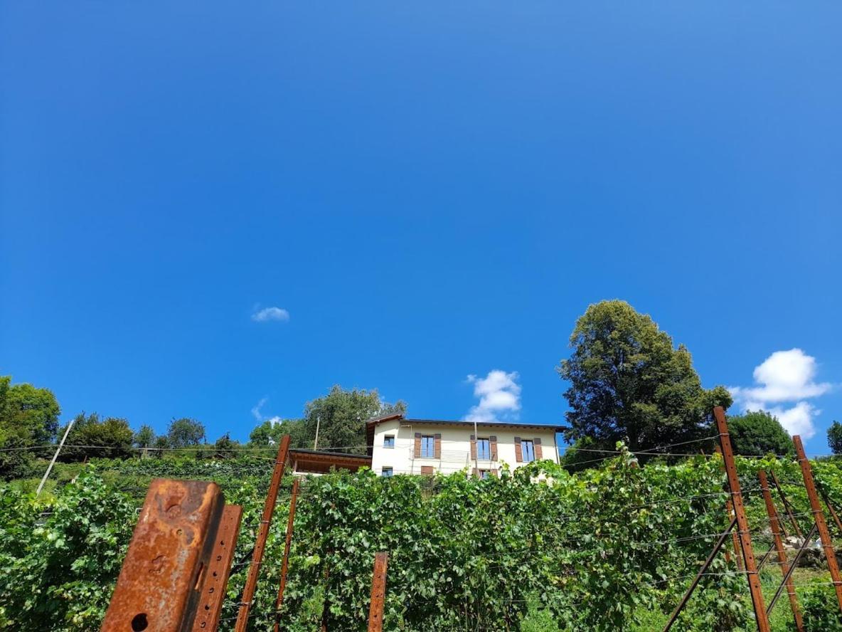 Farm stay Cascina Teresina *