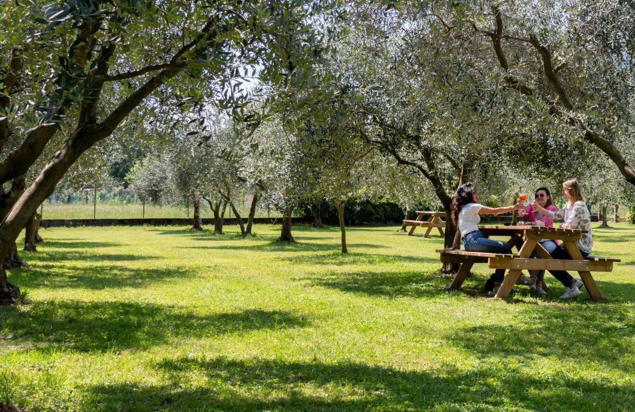 Farm stay Ca Del Gravedona
