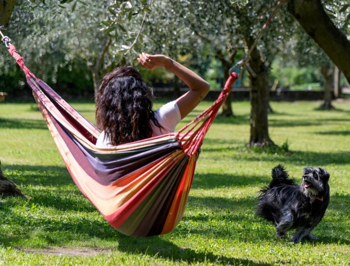 Farm stay Ca Del Gravedona