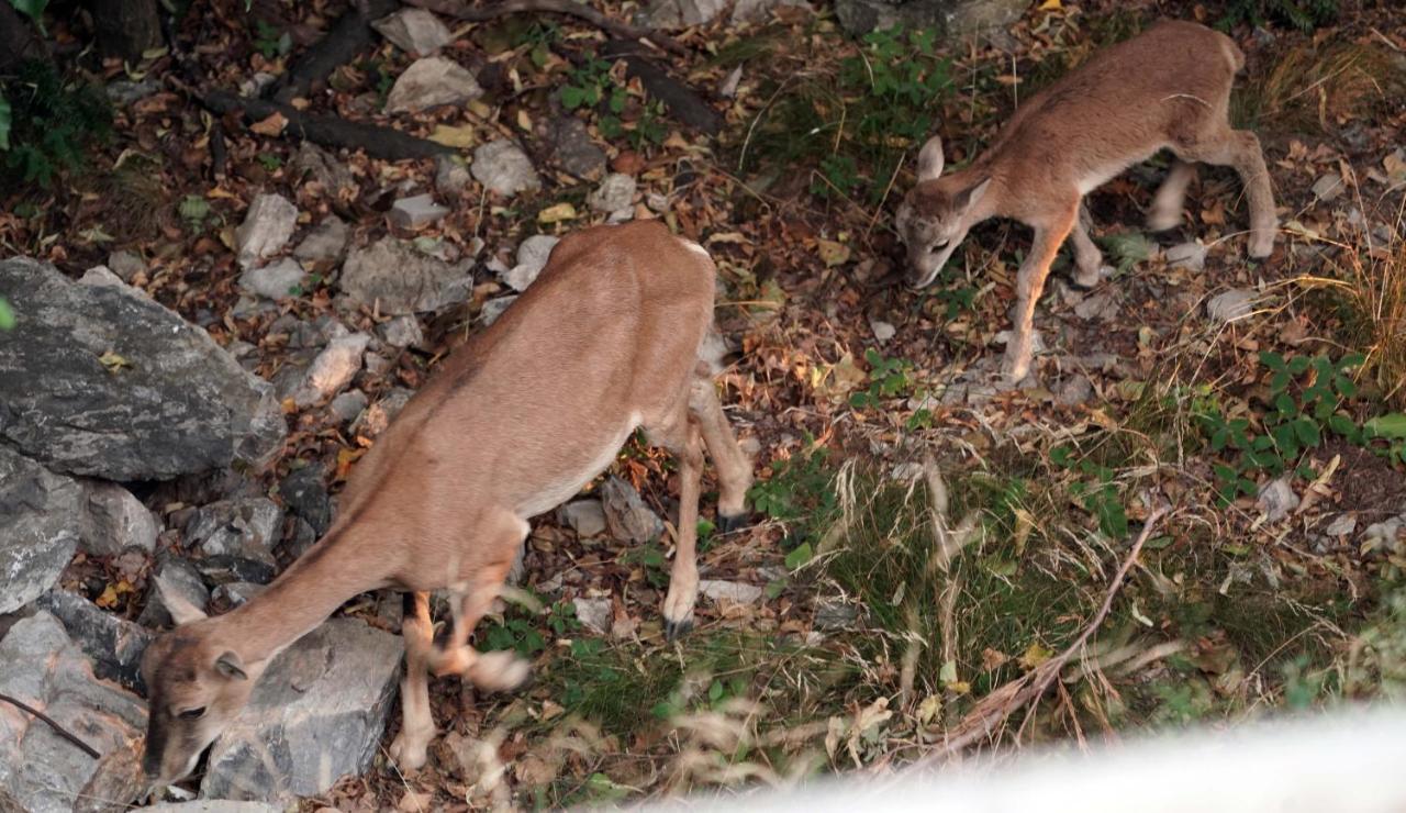 Frühstückspension Antica Dimora I Faggi Di San Giorgio Brunate