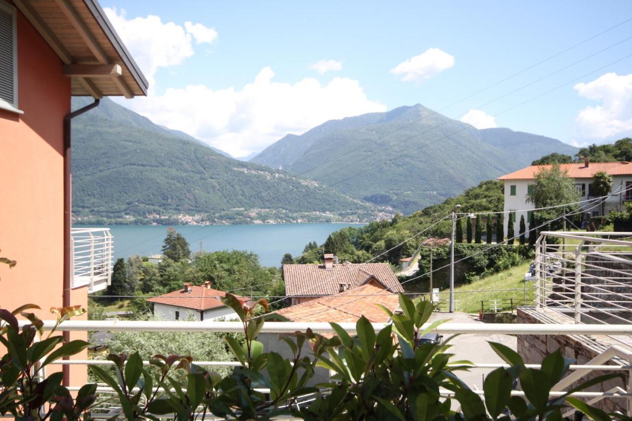 Sant'Anna New Flower Apartment