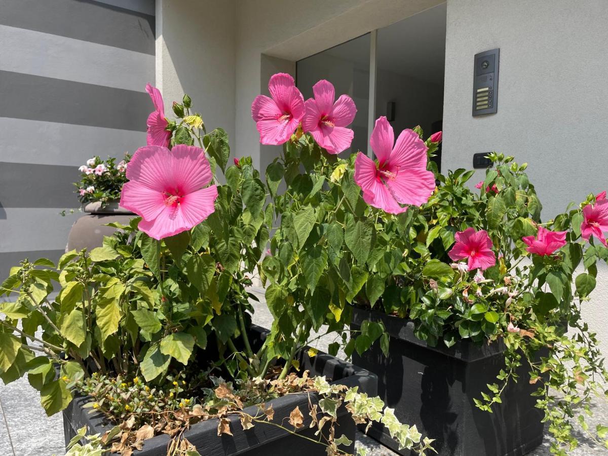 My Humble House - Elegante Con Patio