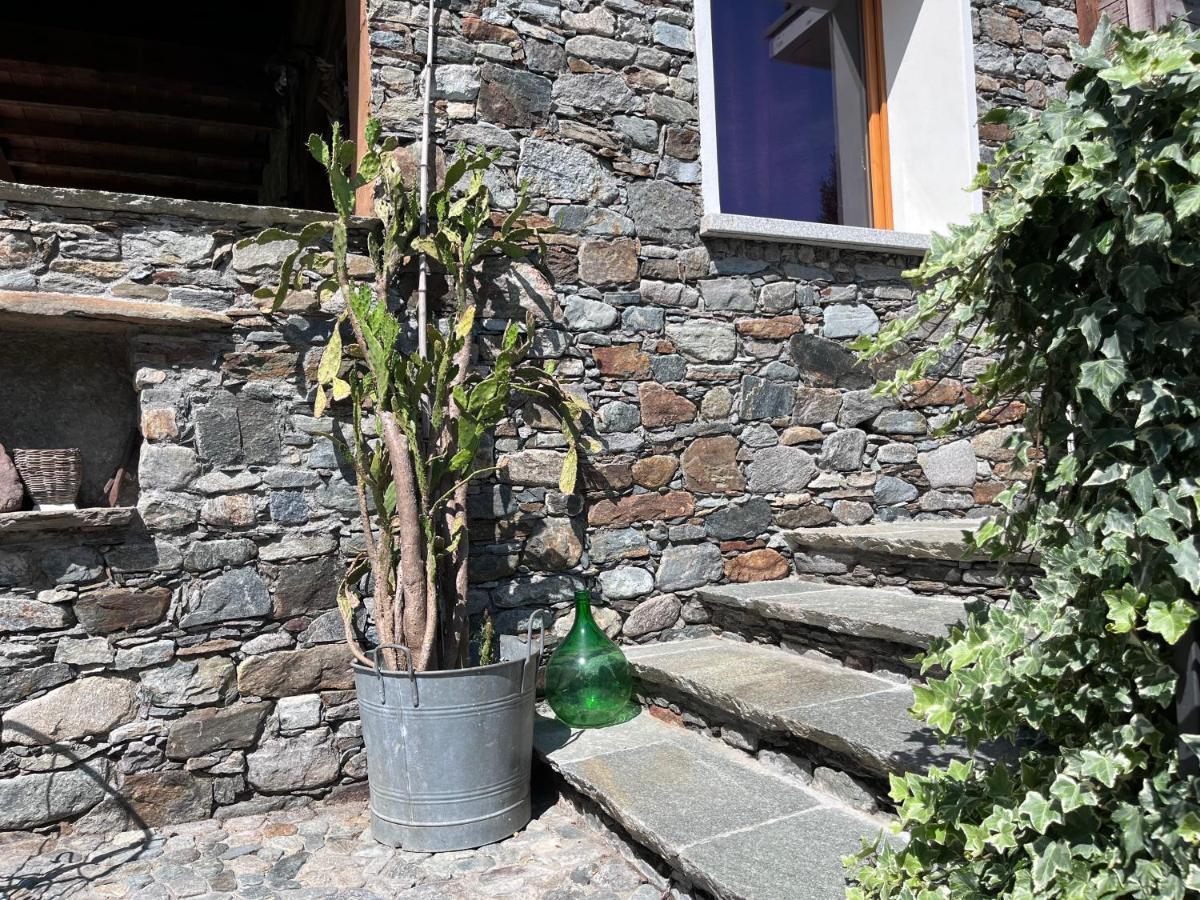 Apartment Casa Unica- Da Bruno