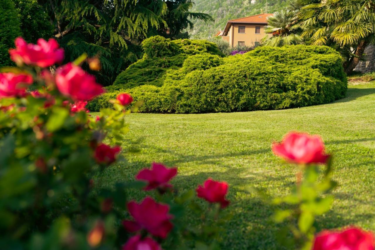 Apartment Villa Dervio