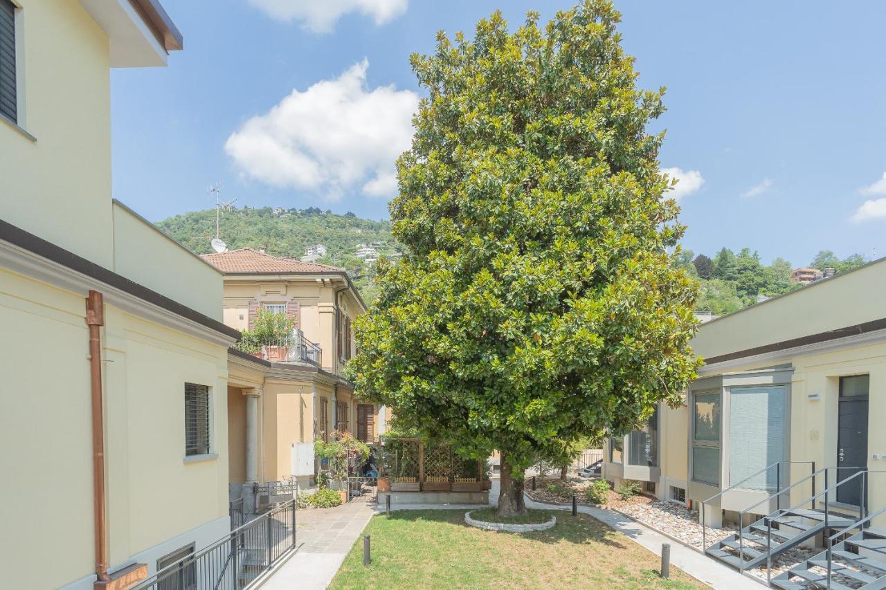 Ginepro & Salvia In By Rent * Como