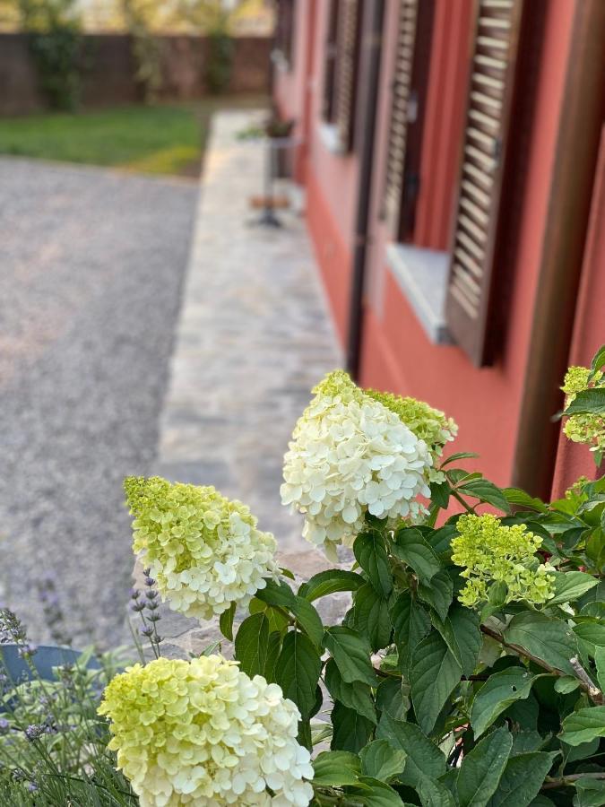 Il Mallo - Bed & Breakfast