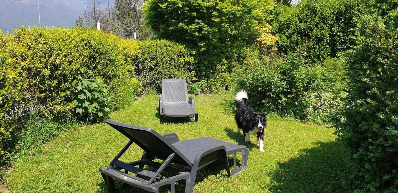 Apartment Ground Floor- Pet Friendly Stay-private Garden-parking-lake View - Bike Friendly House Colico