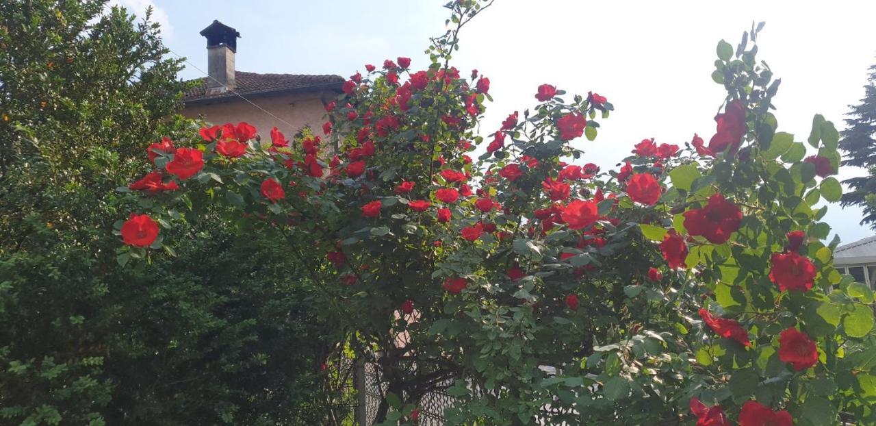 Ground Floor- Pet Friendly Stay-private Garden-parking-lake View - Bike Friendly House *