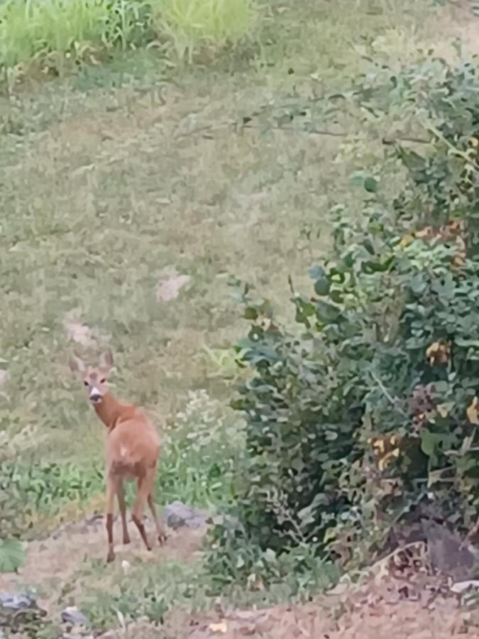 Farm stay Open Cascina *