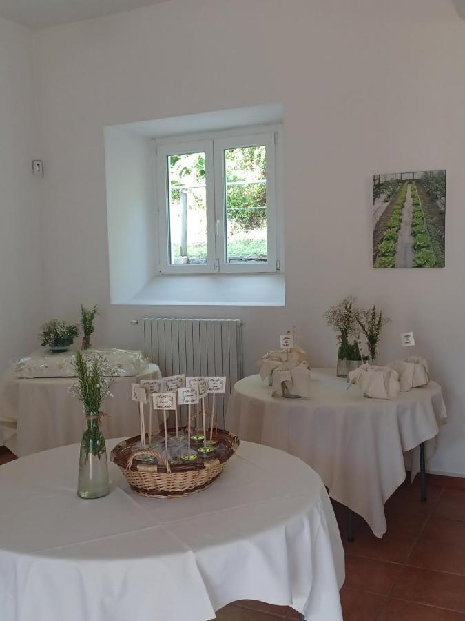 Open Cascina Colico