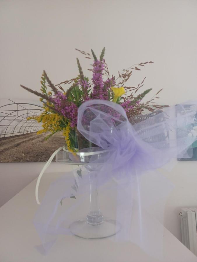 Farm stay Open Cascina