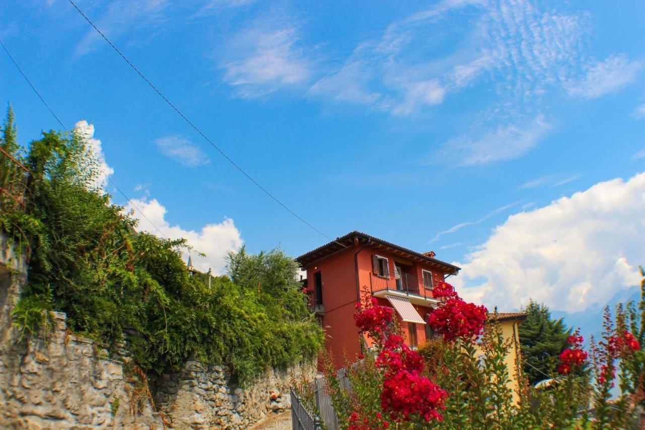 Apartment Giardino Di Maria - Tulipano Panoramawohnung