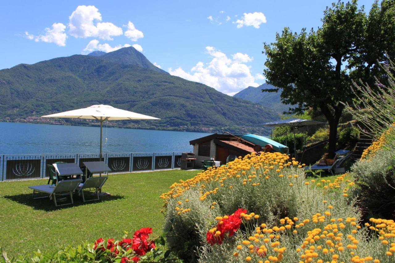Apartment Nido Riva - Falco *
