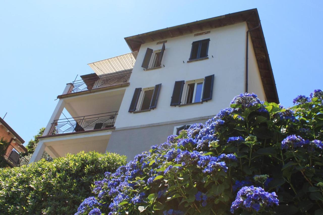Appartamento Nido Riva - Falco *