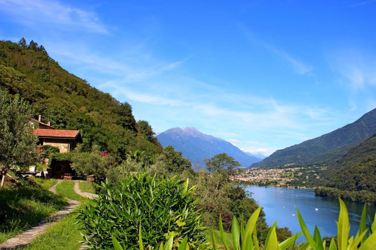 Rustico Ulivi - In Bucht Piona Holiday home Colico