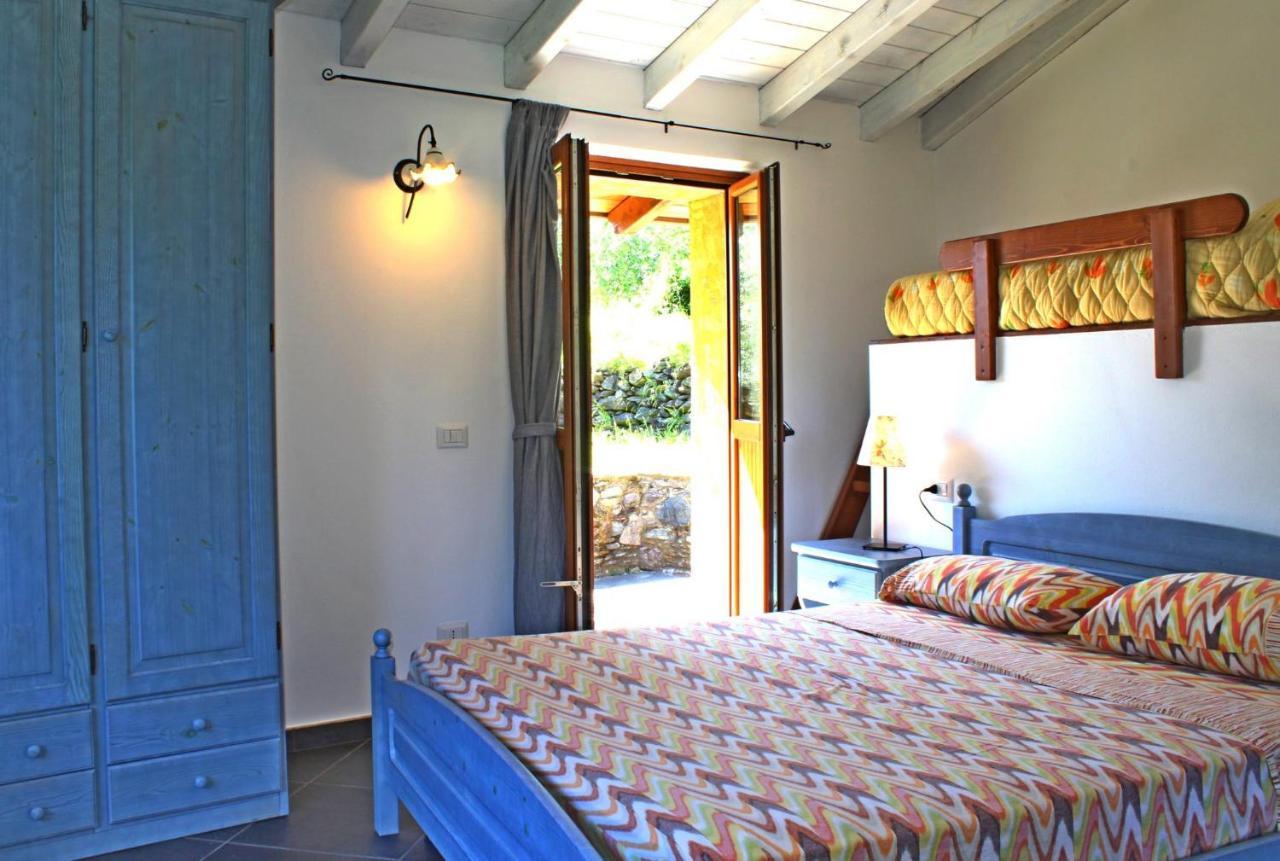 Rustico Ulivi - In Bucht Piona Holiday home