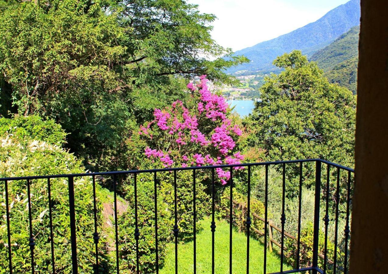 Rustico Ulivi - In Bucht Piona Holiday home *