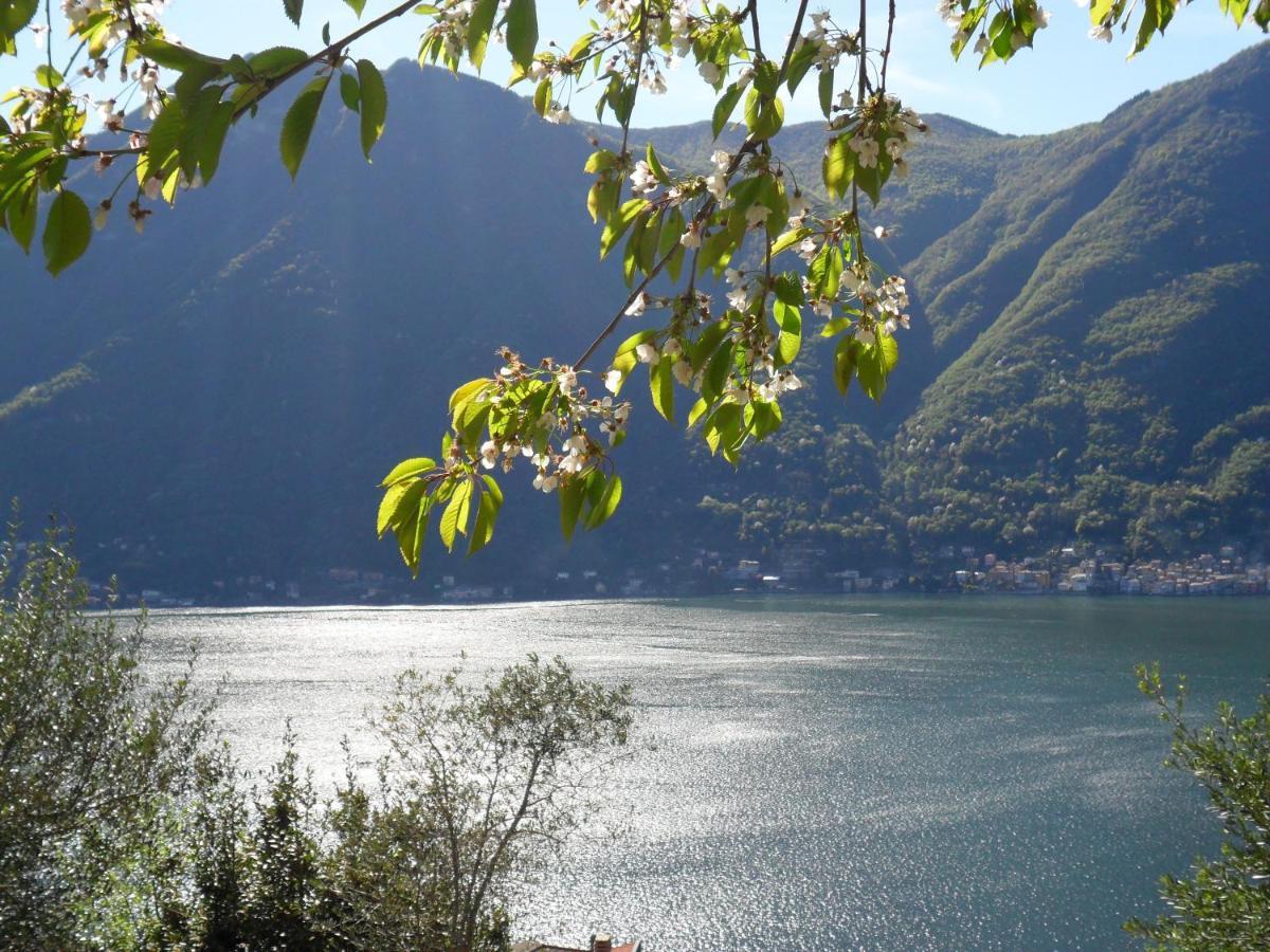 Reginaldo's * Nesso