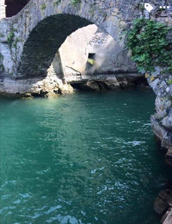 Reginaldo's Nesso